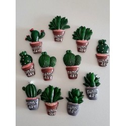 Cactus résine