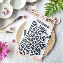 DIE CUTS LES JOLIES PHRASES