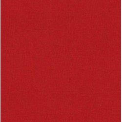 Feuille 30 x 30 cm Toile rouge